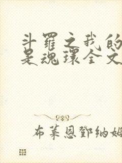 斗罗之我的武魂是魂环全文阅读阅读