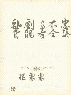 韩剧《不忠》免费观看全集