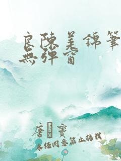 良陈美锦笔趣阁无弹窗