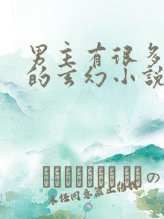 男主有很多老婆的玄幻小说