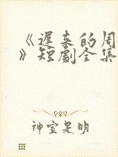 《迟来的周先生》短剧全集