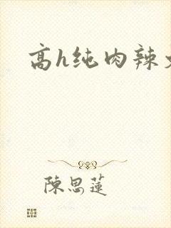 高h纯肉辣文