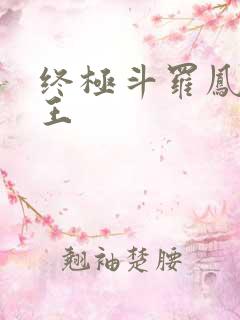 终极斗罗凤凰神王