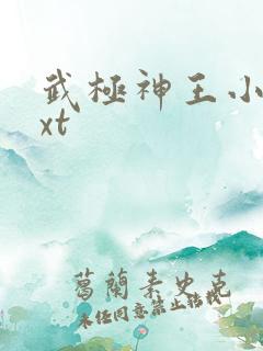 武极神王小说txt