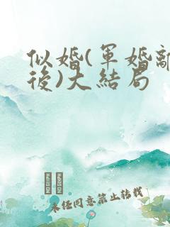 似婚(军婚离婚后)大结局