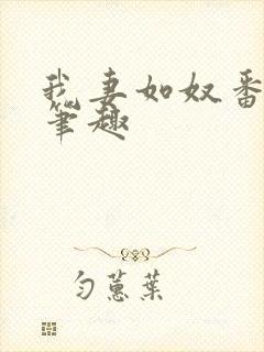我妻如奴番外篇笔趣