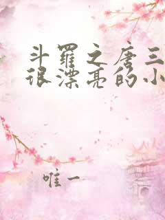斗罗之唐三他哥很漂亮的小说