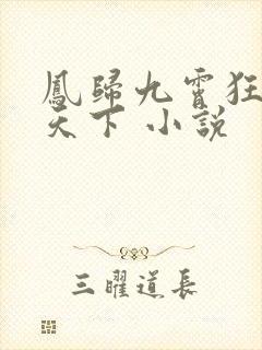 凤归九霄狂妃逆天下 小说