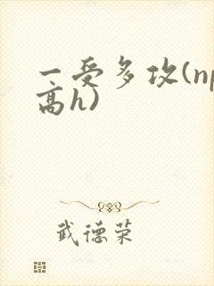 一受多攻(np高h)