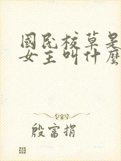 国民校草是女生女主叫什么