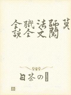 全职法师莫凡小说全文阅