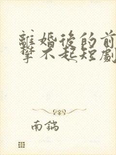 离婚后的前妻高攀不起短剧免费观看