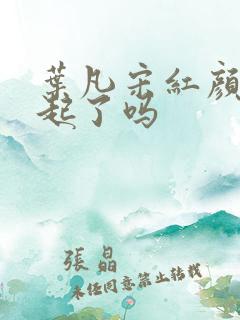 叶凡宋红颜在一起了吗