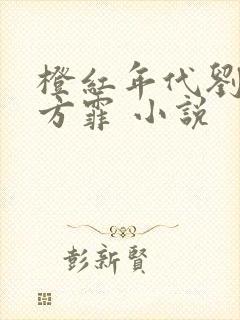 橙红年代刘子光方霏 小说