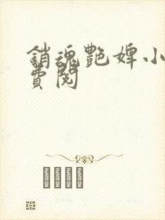 销魂艳婢小说免费阅