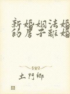 新婚姻法婚前买的房子离婚怎么分割