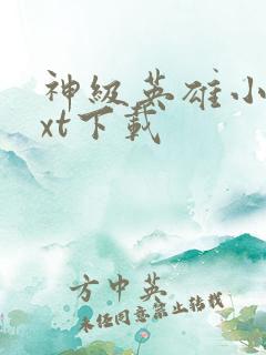 神级英雄小说txt下载