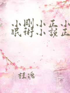 小刚小正小柔催眠术小说正版