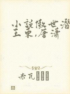 小说傲世潜龙,王东,唐潇