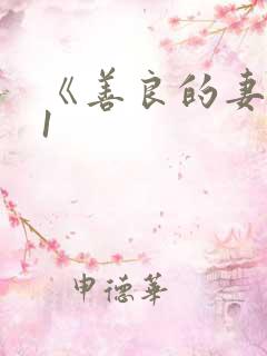 《善良的妻子》1