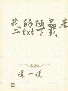 我的极品老婆小二txt下载