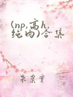 (np,高h,纯肉)合集