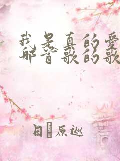 我是真的爱你是哪首歌的歌词