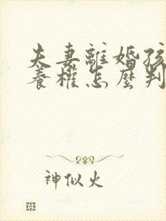 夫妻离婚孩子抚养权怎么判定一个孩子