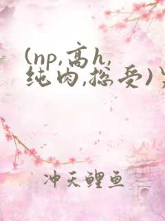 (np,高h,纯肉,总受)男男