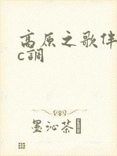 高原之歌伴奏曲c调