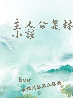 主人公是林正的小说