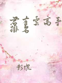 君有云高手实力排名