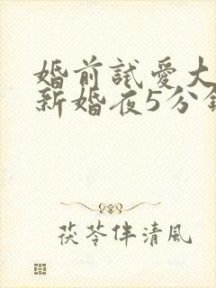 婚前试爱大尺度新婚夜5分钟