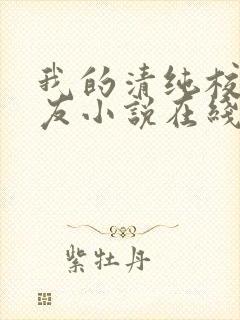 我的清纯校花女友小说在线阅读