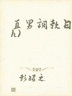 直男调教日记(h)