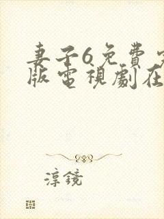 妻子6免费完整版电视剧在线