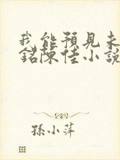 我能预见未来林铭陈佳小说免费阅读