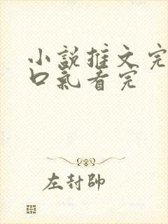 小说推文完结一口气看完