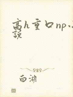 高h重口np小说