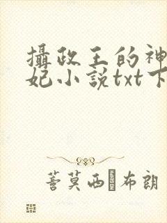 摄政王的神医毒妃小说txt下载