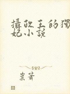 摄政王的独宠医妃小说