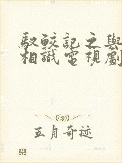 驭鲛记之与君初相识电视剧免费