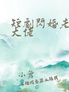 短剧闪婚老公是大佬