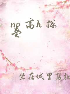 np 高h 总受