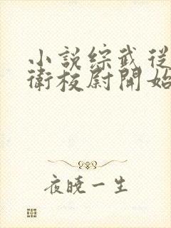 小说综武从锦衣卫校尉开始