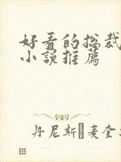 好看的总裁言情小说推荐