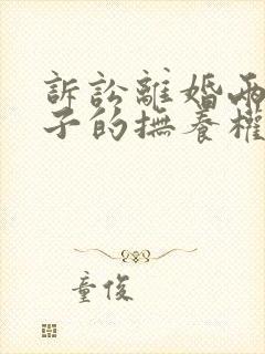 诉讼离婚两个孩子的抚养权如何判决