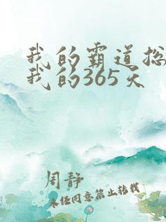 我的霸道总裁和我的365天