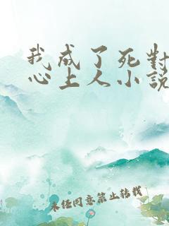 我成了死对头的心上人小说
