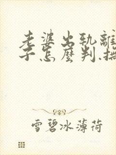 老婆出轨离婚孩子怎么判.抚养费怎么出